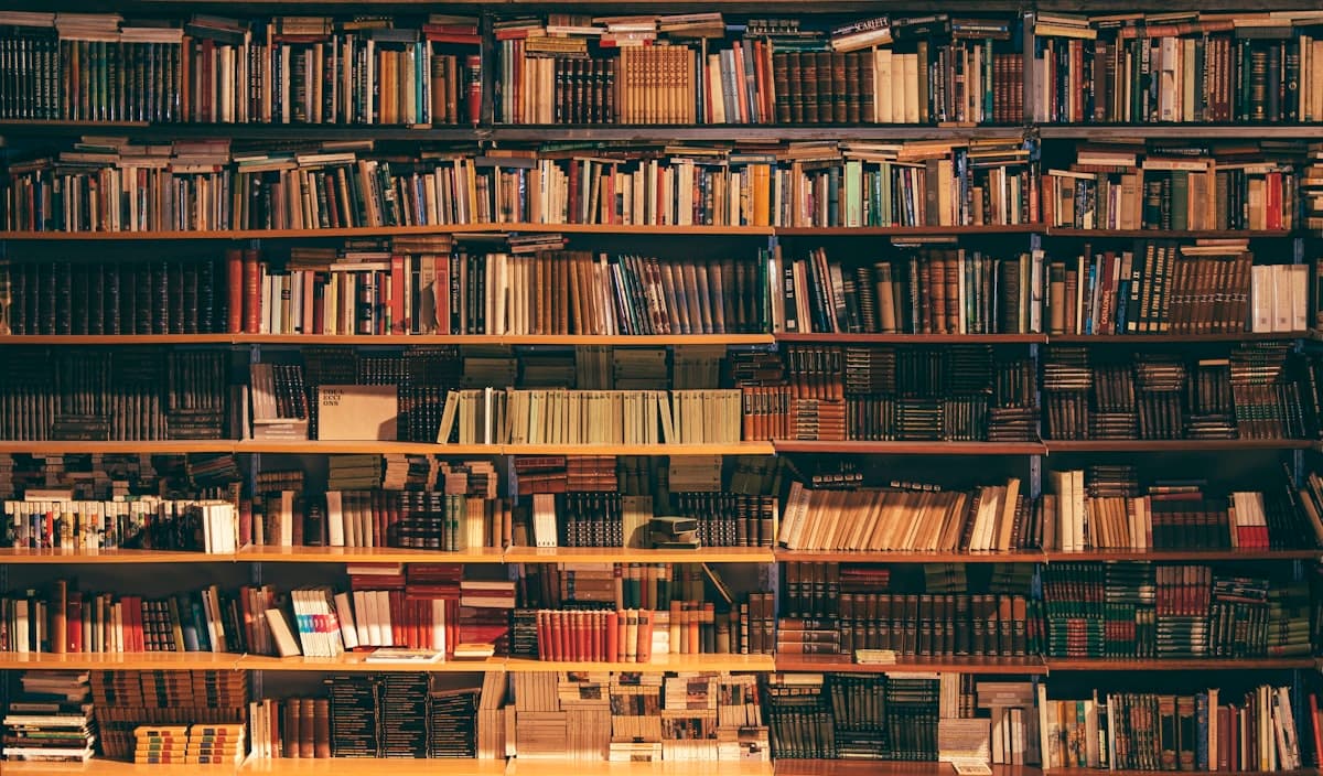 Library bookshelf